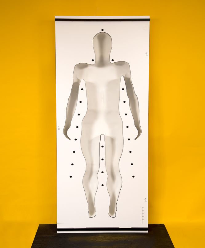 Whole body phantom