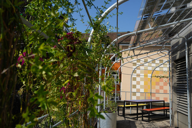 Z43 Zeughausstrasse, pergola with climbing greenery. Image credit: Z43