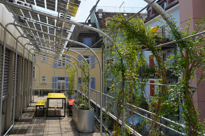Z43 Zeughausstrasse, steel arches of the pergola with greenery. Image credit: Z43
